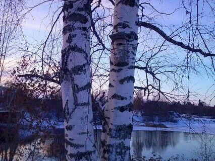 Reiki Meditation For Self-Love