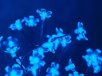 Reiki Meditation Series: Throat Chakra