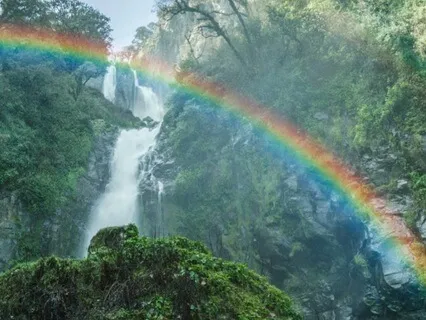 Reiki & Music For Chakra Alignment With Chime Every 3 Mins