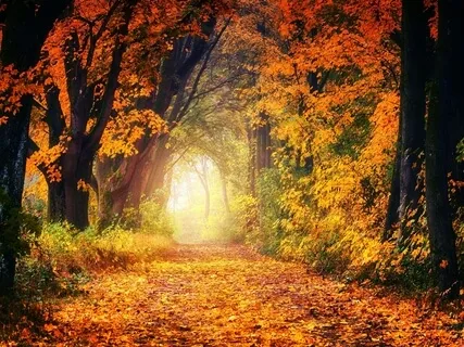 Reiki Music For Change With Tibetan Chime Every 3 Minutes