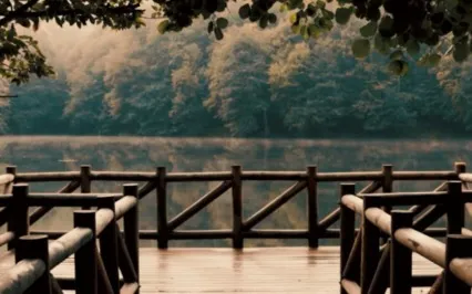 Reiki Music For Inner Peace With Chime Every 3 Minutes