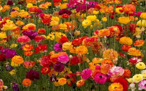 Reiki Music For Inspiration With Chime Every 3 Minutes