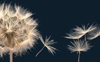 Reiki Music For Manifestation With Chime Every 3 Minutes