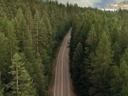 Reiki Music For Moving Forward With Chime Every 3 Minutes 