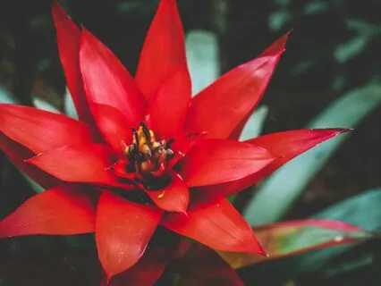 Reiki Music For The Root Chakra 396 Hz