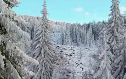 Reiki Music For Winter Hibernation With Chime Every 3 Mins.