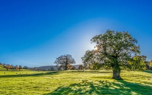 Reiki Music With Bell Every 3 Minutes - Energy Boost