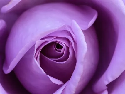 Reiki Nap Crown Chakra Repair