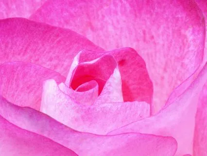 Reiki Nap Heart Chakra Repair