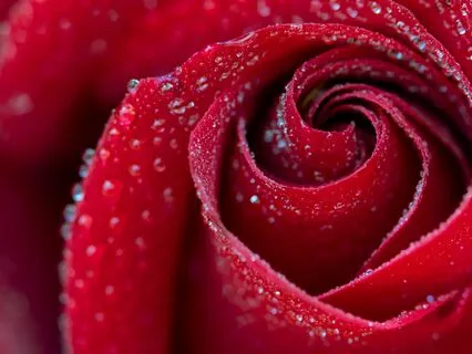 Reiki Nap Root Chakra Repair