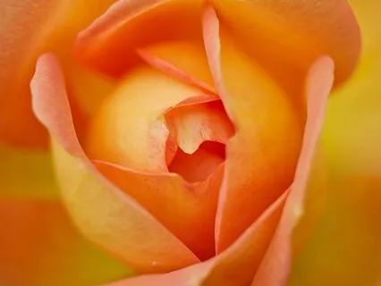 Reiki Nap Sacral Chakra Repair