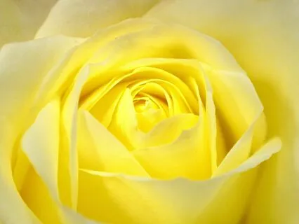 Reiki Nap Solar Plexus Chakra Repair