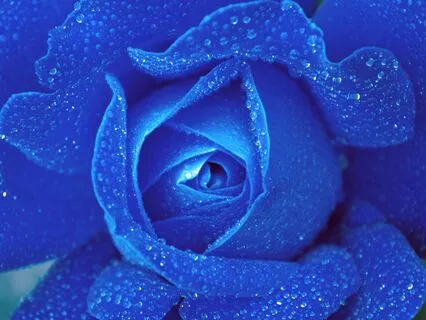 Reiki Nap Third Eye Chakra Repair