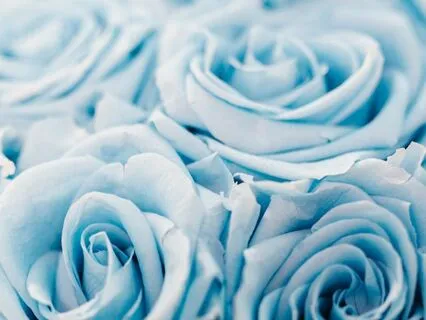 Reiki Nap Throat Chakra Repair