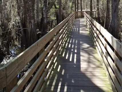 Reiki Reflection On Social Isolation