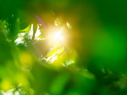 Reiki Relaxation Circle 6