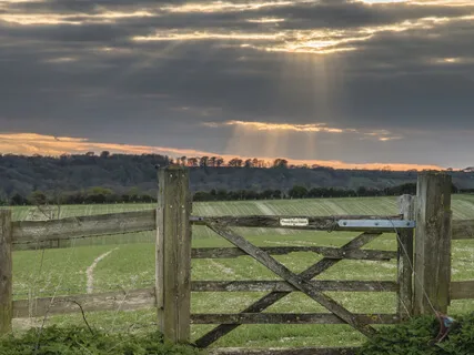 Reiki Relaxation Circle Session 1
