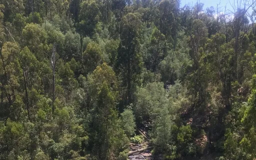 Reiki Relaxation Circle Session 12