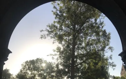 Reiki Relaxation Circle Session 13