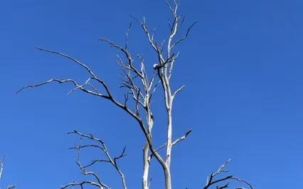 Reiki Relaxation Circle Session 15