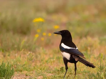 Reiki Relaxation Circle Session 2