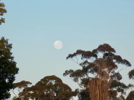 Reiki Relaxation Circle  Session 5