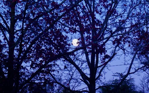 Reiki Relaxation Circle Session 9