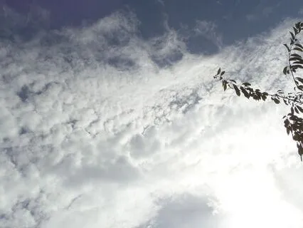 Reiki Release Stagnant Energy, Peace And Healing  (No Music)