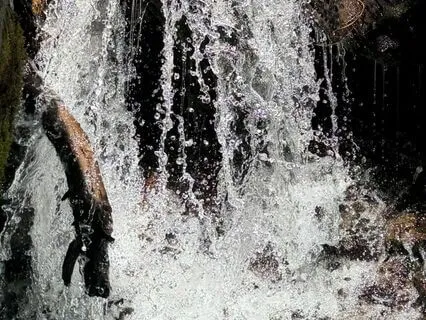 Reiki: River Meditation