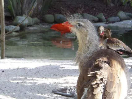 Reiki Rock Pool Chakra Cleansing And Protection (No Music)