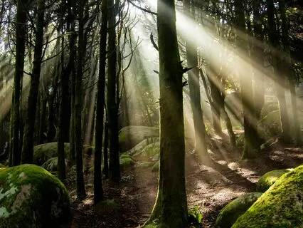 Reiki & Theta Binaural Beat Music For Inner Peace & Balance