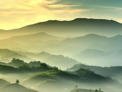 Reiki To Release & Clear Energy Blockages With 528 Hz Music