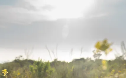 Reiki Transmission Meditation With Delta Binaural Beats 