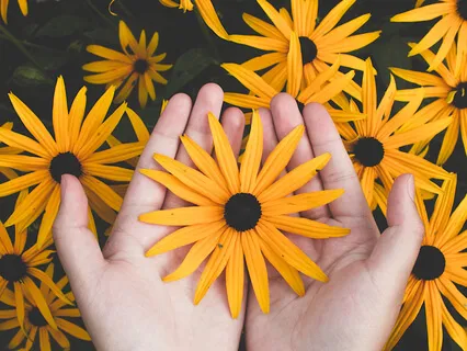 Reiki, What? A Brief Exploration Of Reiki Healing Energy