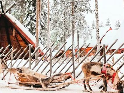 Reindeer Farm Ambiance Sleigh Bells Steps In The Snow