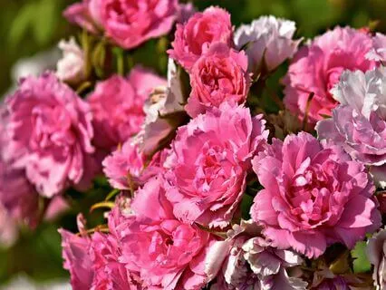 Reinvention — Trusting The Flow Of Miracles