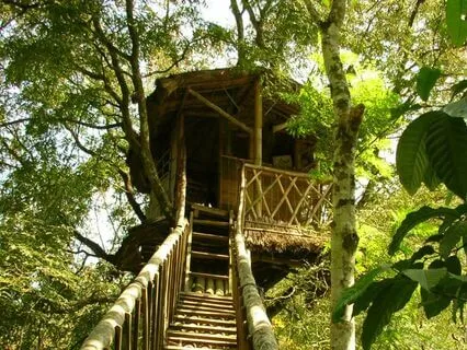 Reinvigorating Your Trust