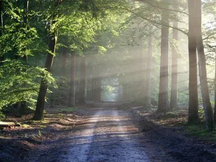 Rejection Meditation