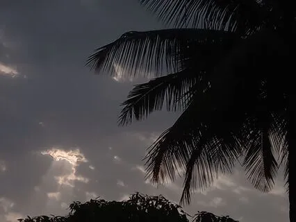 Rejection To Rejuvenation