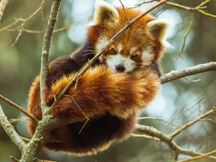 Rejoice Inner Revolution | Mellow Lofi Soul Jazz Beats