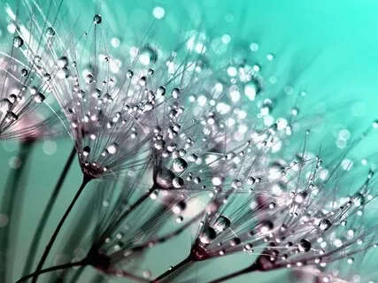 ReJOYvenate Through Beauty