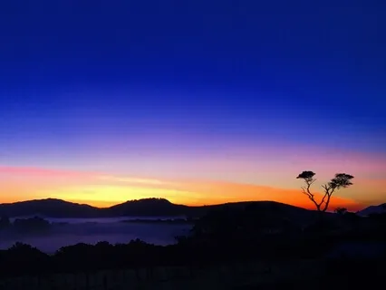 Rejuvenate & Heal With Yoga Nidra