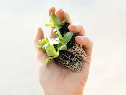 Rejuvenate Your Brain @40Hz (Binaural Beats Mix)