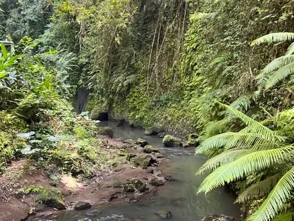 Rejuvenating Cave & Crystal Tower Journey