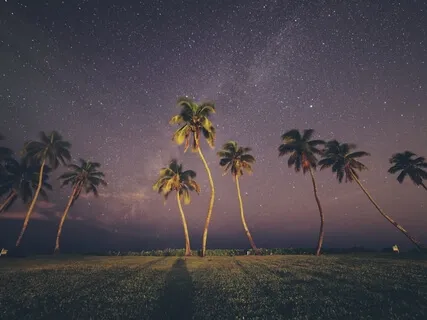 Rejuvenating, Restful Nap