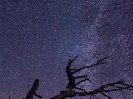 Rejuvenating Sleep Music - Doze 432Hz