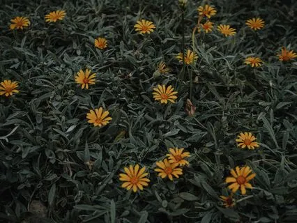 Prepare For Serene Sleep And Wake Up Rejuvenated