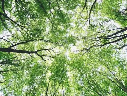 Rejuvenation Meditation