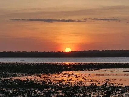 Rejuvenation Of Body, Mind And Psyche