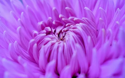 Rejuvenation Sound Healing